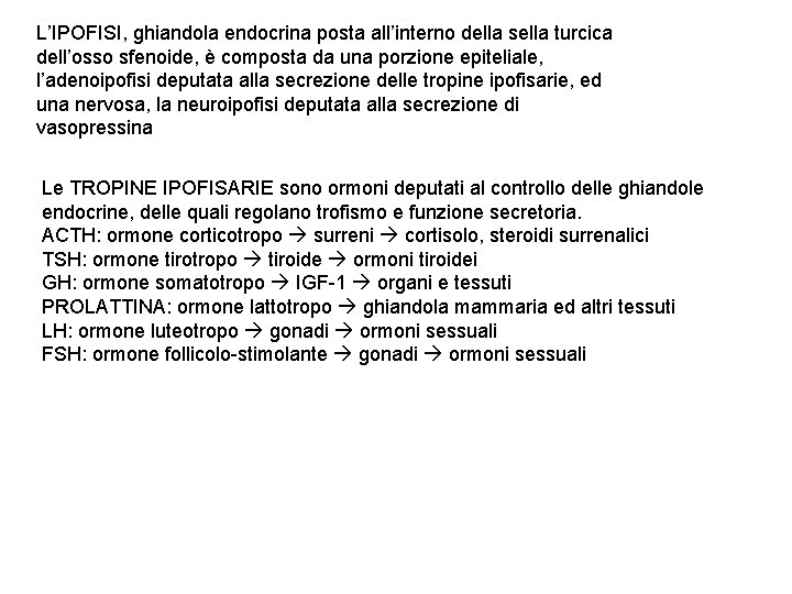 L’IPOFISI, ghiandola endocrina posta all’interno della sella turcica dell’osso sfenoide, è composta da una