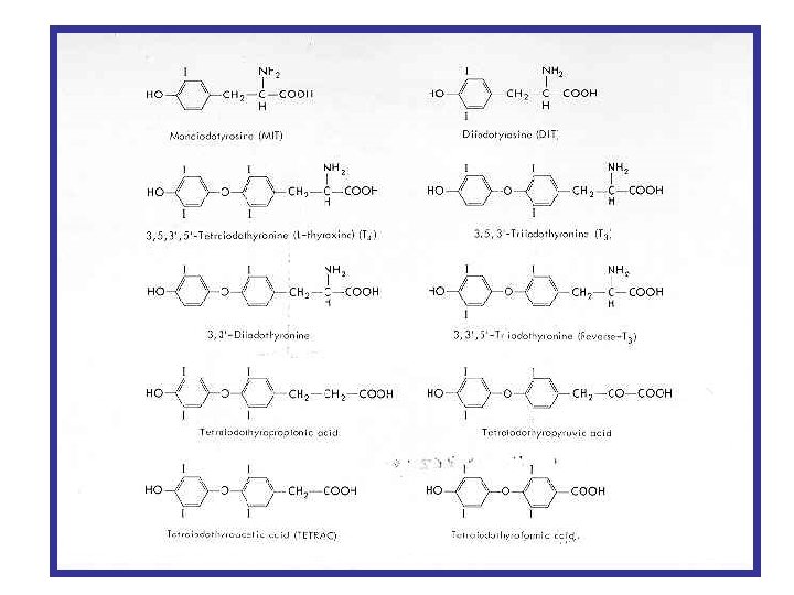 Amine ( Catecolamine) Es. : adrenalina, noradrenalina, dopamina 