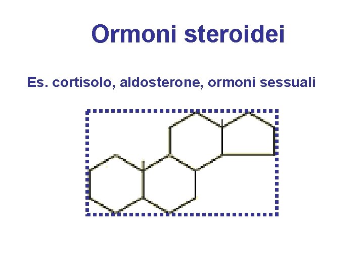 Ormoni steroidei Es. cortisolo, aldosterone, ormoni sessuali 