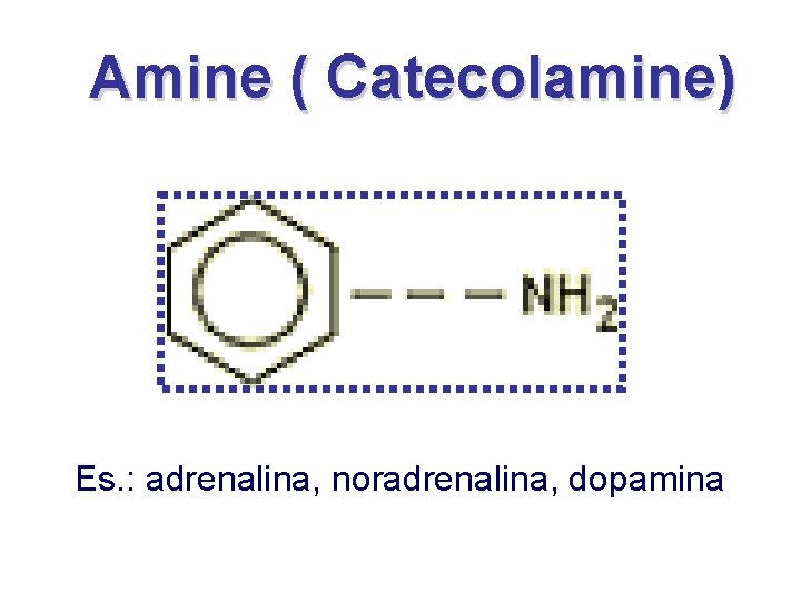 Amine ( Catecolamine) Es. : adrenalina, noradrenalina, dopamina 