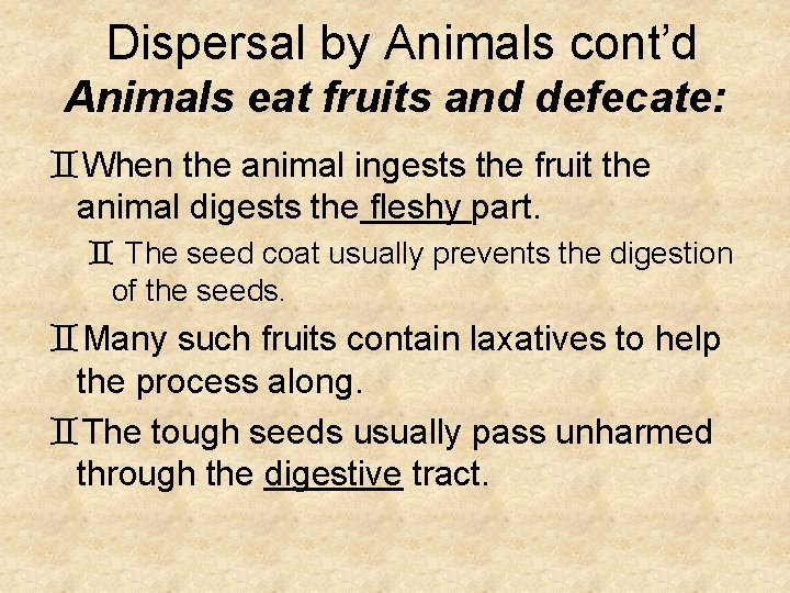 Dispersal by Animals cont’d Animals eat fruits and defecate: `When the animal ingests the