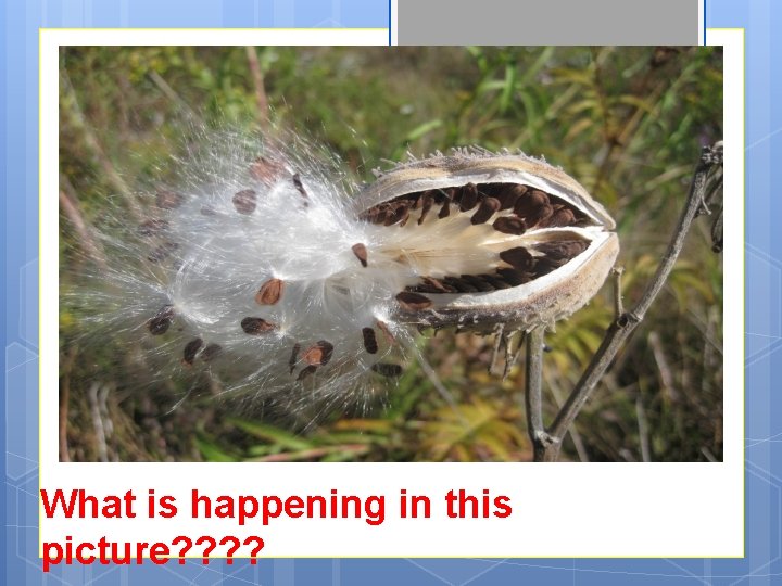 What is happening in this picture? ? 