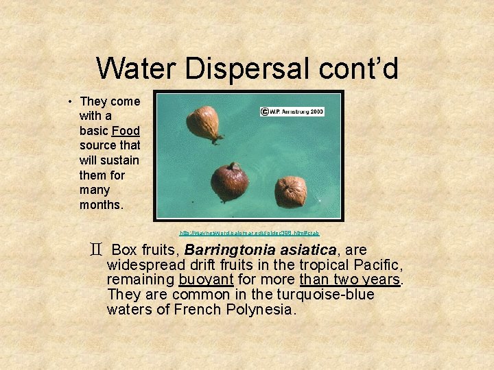 Water Dispersal cont’d • They come with a basic Food source that will sustain