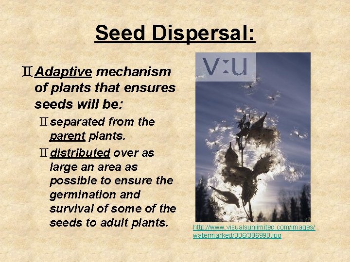 Seed Dispersal: `Adaptive mechanism of plants that ensures seeds will be: `separated from the