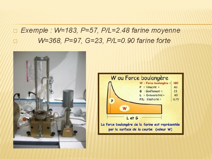 � � Exemple : W=183, P=57, P/L=2. 48 farine moyenne W=368, P=97, G=23, P/L=0.