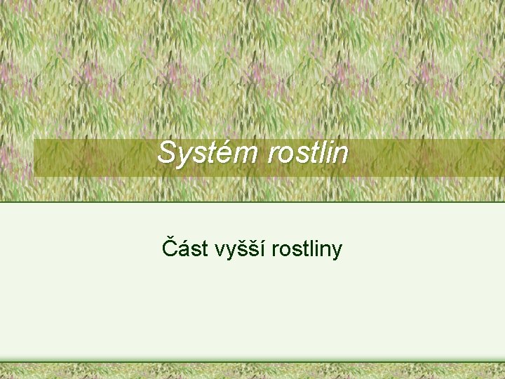 Systém rostlin Část vyšší rostliny 