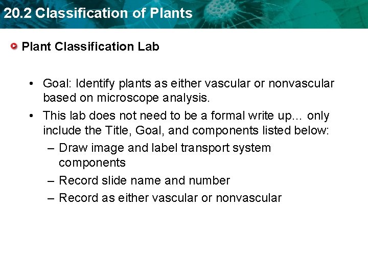 20. 2 Classification of Plants Plant Classification Lab • Goal: Identify plants as either