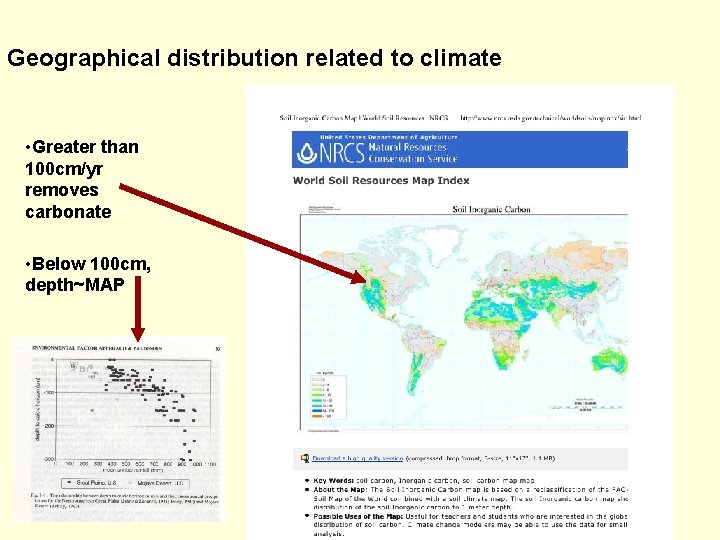 Geographical distribution related to climate • Greater than 100 cm/yr removes carbonate • Below