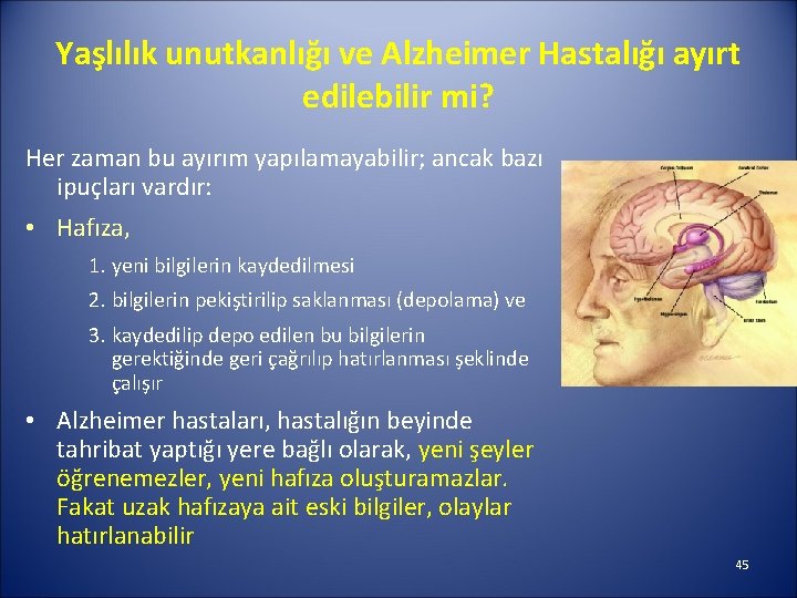 Yaşlılık unutkanlığı ve Alzheimer Hastalığı ayırt edilebilir mi? Her zaman bu ayırım yapılamayabilir; ancak