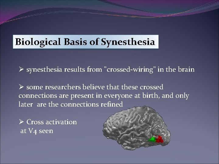 Biological Basis of Synesthesia Ø synesthesia results from "crossed-wiring" in the brain Ø some