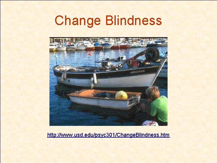 Change Blindness http: //www. usd. edu/psyc 301/Change. Blindness. htm 