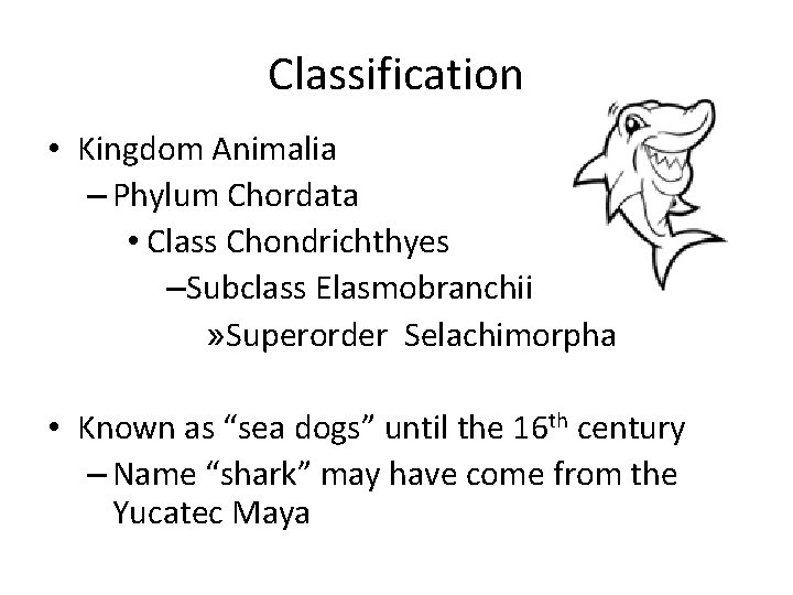 Classification • Kingdom Animalia – Phylum Chordata • Class Chondrichthyes –Subclass Elasmobranchii » Superorder