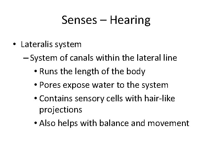 Senses – Hearing • Lateralis system – System of canals within the lateral line