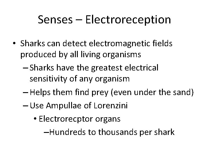 Senses – Electroreception • Sharks can detect electromagnetic fields produced by all living organisms