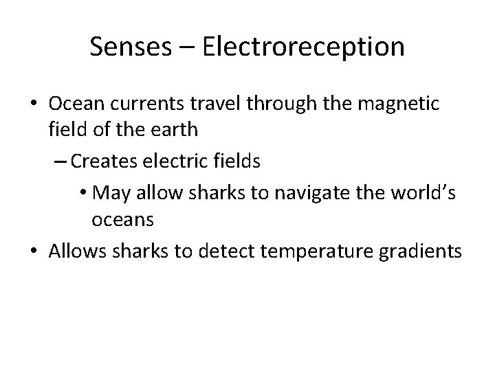 Senses – Electroreception • Ocean currents travel through the magnetic field of the earth