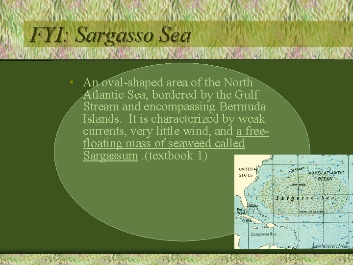 FYI: Sargasso Sea • An oval-shaped area of the North Atlantic Sea, bordered by