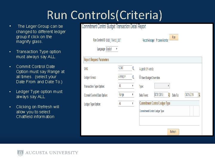 Run Controls(Criteria) • The Leger Group can be changed to different ledger group if