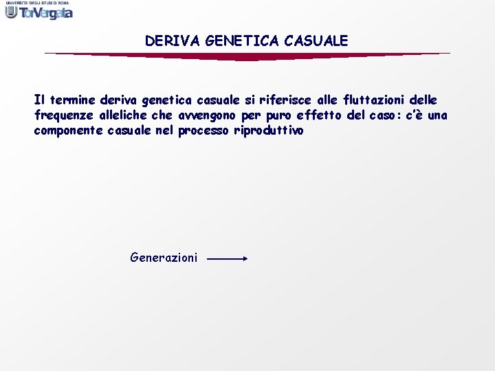 DERIVA GENETICA CASUALE Il termine deriva genetica casuale si riferisce alle fluttazioni delle frequenze