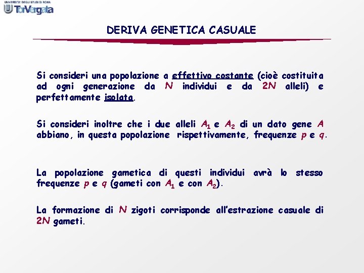 DERIVA GENETICA CASUALE Si consideri una popolazione a effettivo costante (cioè costituita ad ogni