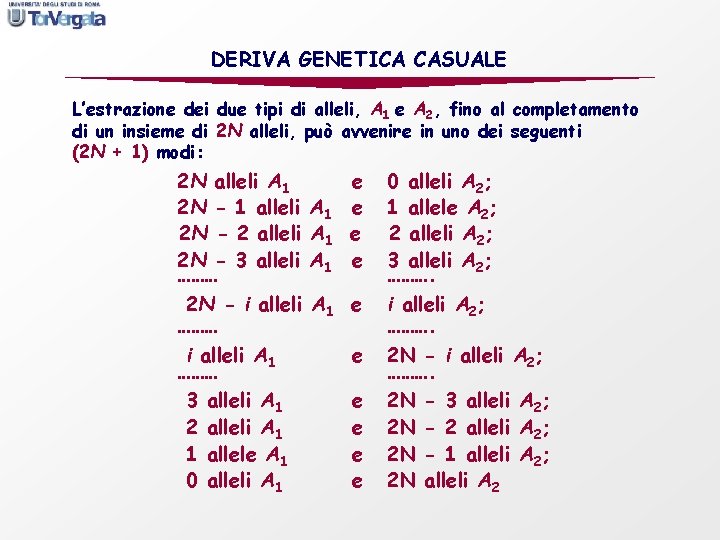 DERIVA GENETICA CASUALE L’estrazione dei due tipi di alleli, A 1 e A 2,