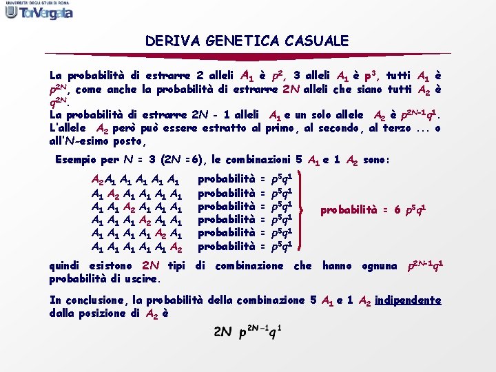 DERIVA GENETICA CASUALE La probabilità di estrarre 2 alleli A 1 è p 2,