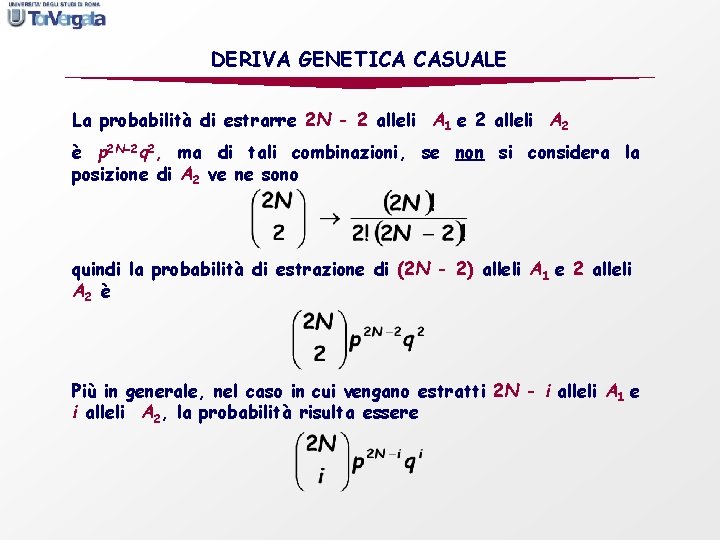 DERIVA GENETICA CASUALE La probabilità di estrarre 2 N - 2 alleli A 1