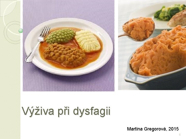 Výživa při dysfagii Martina Gregorová, 2015 1 