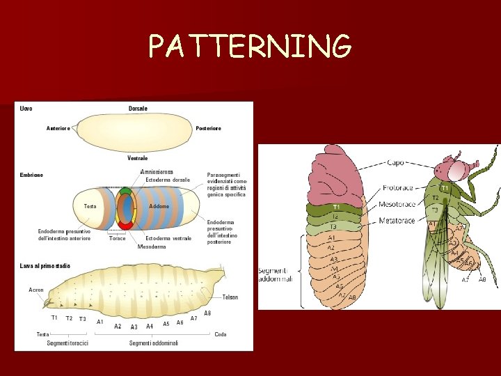 PATTERNING PATTERNING