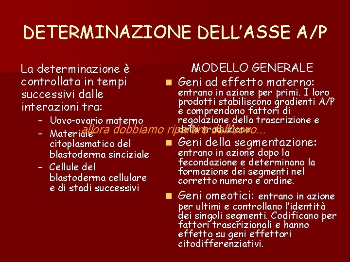 DETERMINAZIONE DELL’ASSE A/P La determinazione è controllata in tempi successivi dalle interazioni tra: – DETERMINAZIONE DELL’ASSE A/P La determinazione è controllata in tempi successivi dalle interazioni tra: –