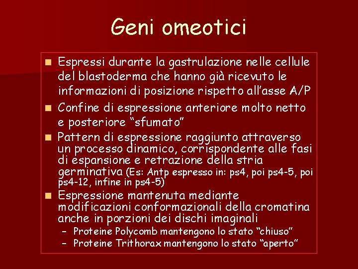 Geni omeotici Espressi durante la gastrulazione nelle cellule del blastoderma che hanno già ricevuto Geni omeotici Espressi durante la gastrulazione nelle cellule del blastoderma che hanno già ricevuto