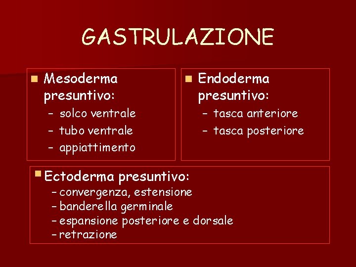 GASTRULAZIONE n Mesoderma presuntivo: – – – n solco ventrale tubo ventrale appiattimento § GASTRULAZIONE n Mesoderma presuntivo: – – – n solco ventrale tubo ventrale appiattimento §