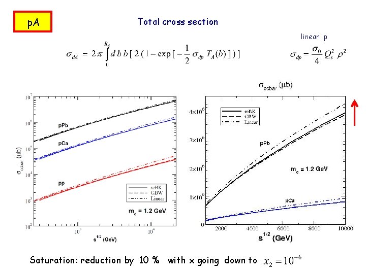 p. A Total cross section linear p Saturation: reduction by 10 % with x