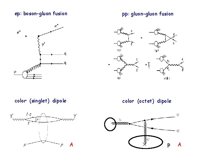 ep: boson-gluon fusion pp: gluon-gluon fusion color (singlet) dipole color (octet) dipole A p