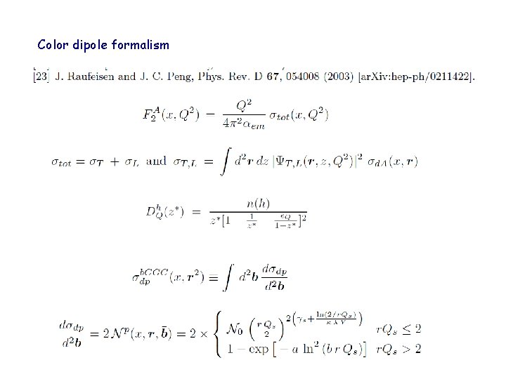 Color dipole formalism 