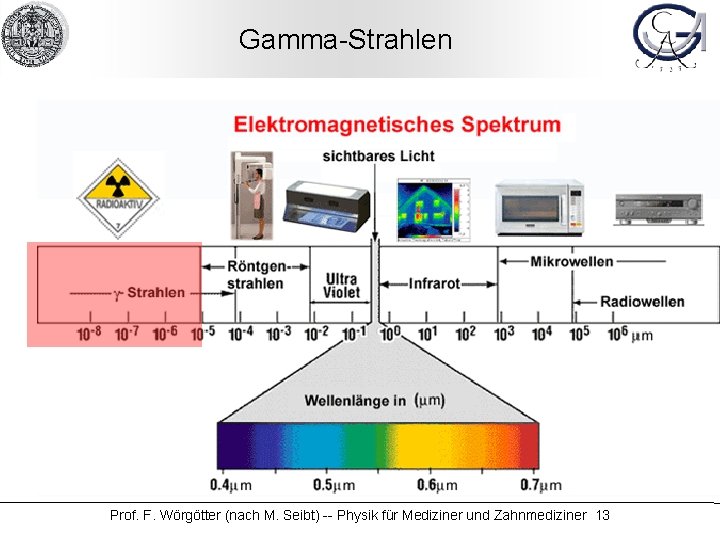 Gamma-Strahlen Prof. F. Wörgötter (nach M. Seibt) -- Physik für Mediziner und Zahnmediziner 13