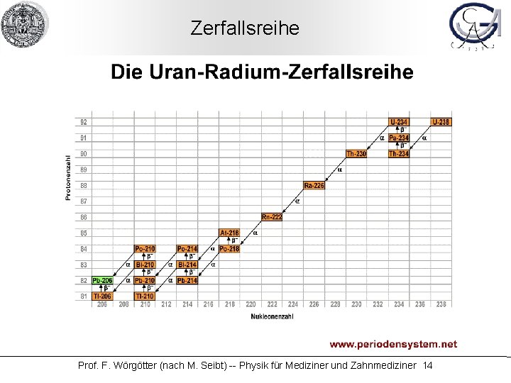 Zerfallsreihe Prof. F. Wörgötter (nach M. Seibt) -- Physik für Mediziner und Zahnmediziner 14