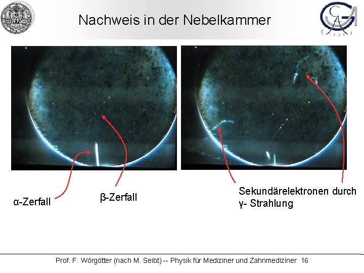 Nachweis in der Nebelkammer α-Zerfall β-Zerfall Sekundärelektronen durch γ- Strahlung Prof. F. Wörgötter (nach