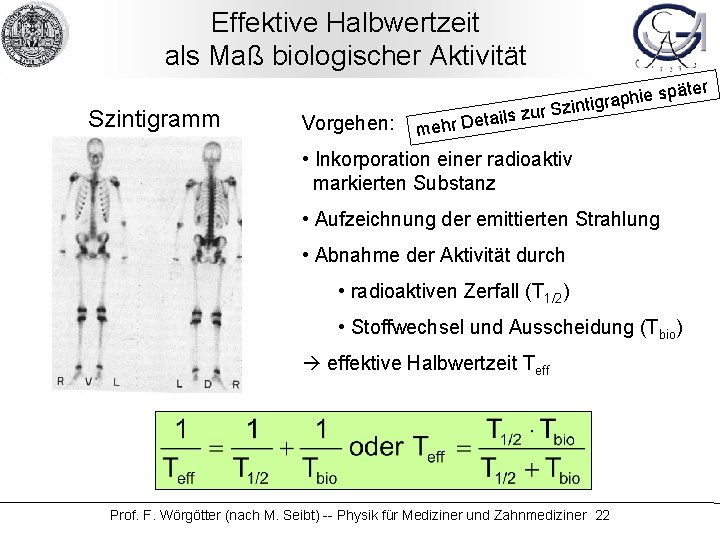 Effektive Halbwertzeit als Maß biologischer Aktivität Szintigramm Vorgehen: später e i h p a