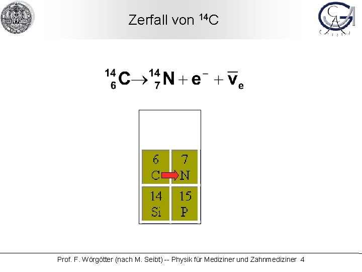 Zerfall von 14 C Prof. F. Wörgötter (nach M. Seibt) -- Physik für Mediziner