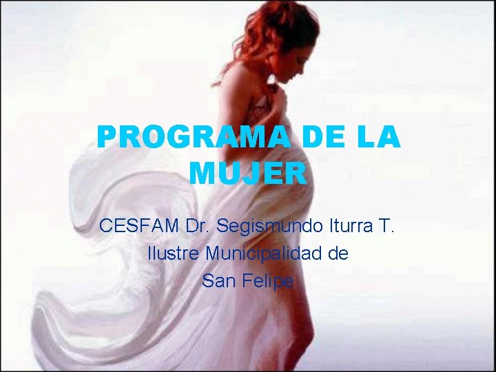 PROGRAMA DE LA MUJER CESFAM Dr. Segismundo Iturra T. Ilustre Municipalidad de San Felipe PROGRAMA DE LA MUJER CESFAM Dr. Segismundo Iturra T. Ilustre Municipalidad de San Felipe