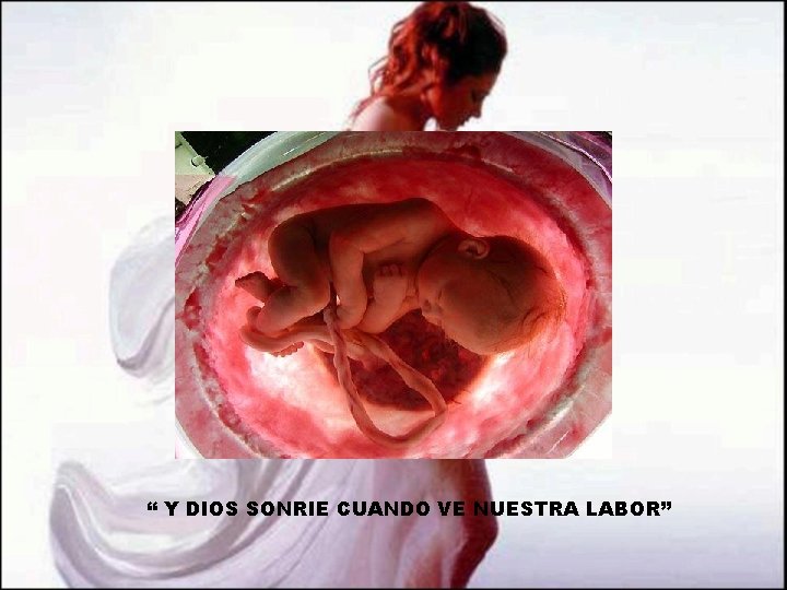 “ Y DIOS SONRIE CUANDO VE NUESTRA LABOR” “ Y DIOS SONRIE CUANDO VE NUESTRA LABOR”