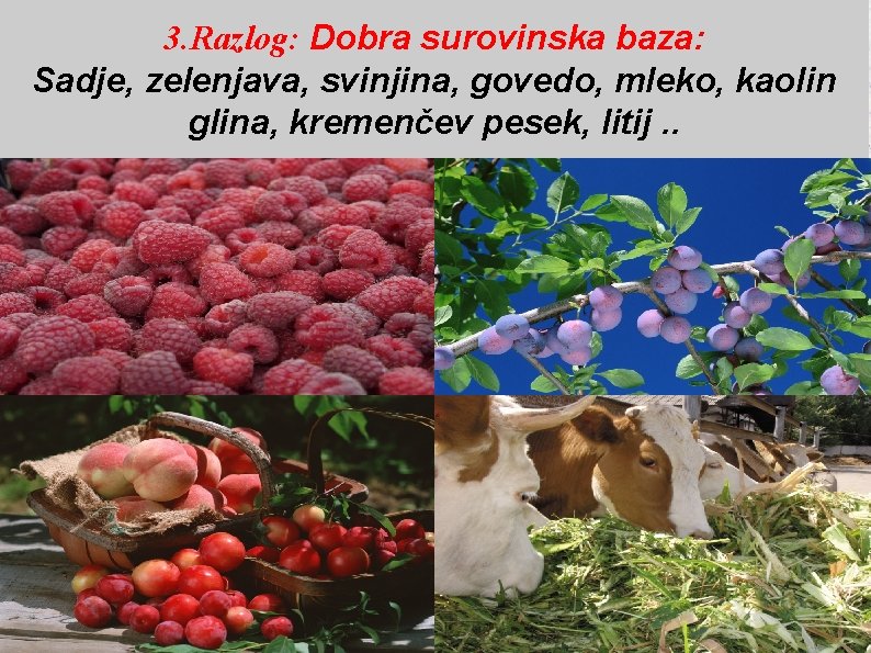 3. Razlog: Dobra surovinska baza: Sadje, zelenjava, svinjina, govedo, mleko, kaolin glina, kremenčev pesek,