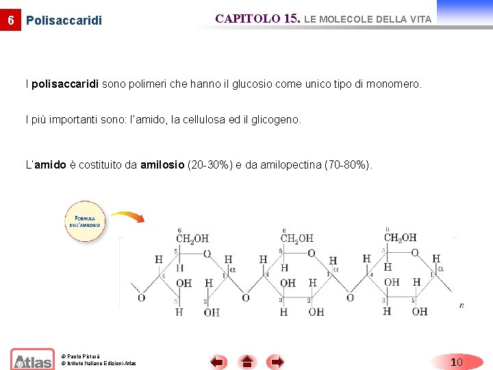 6 Polisaccaridi CAPITOLO 15. LE MOLECOLE DELLA VITA I polisaccaridi sono polimeri che hanno