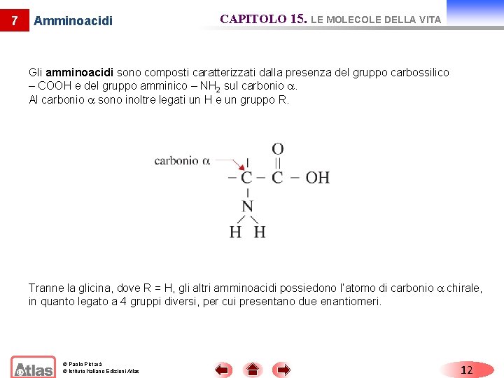 7 Amminoacidi CAPITOLO 15. LE MOLECOLE DELLA VITA Gli amminoacidi sono composti caratterizzati dalla