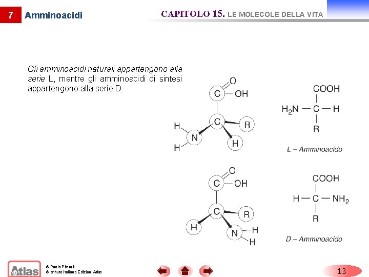 7 Amminoacidi CAPITOLO 15. LE MOLECOLE DELLA VITA Gli amminoacidi naturali appartengono alla serie