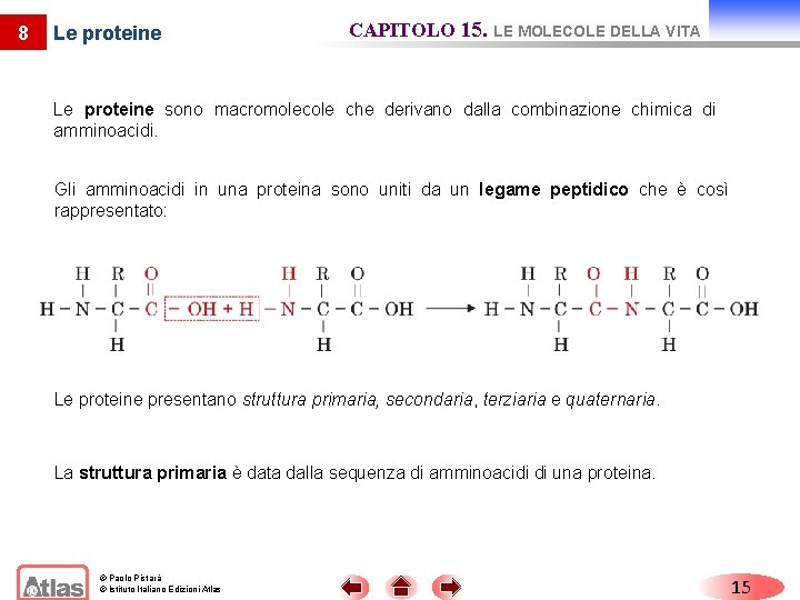 8 Le proteine CAPITOLO 15. LE MOLECOLE DELLA VITA Le proteine sono macromolecole che