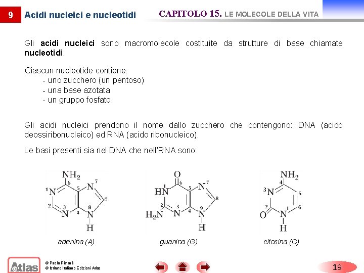 9 Acidi nucleici e nucleotidi CAPITOLO 15. LE MOLECOLE DELLA VITA Gli acidi nucleici