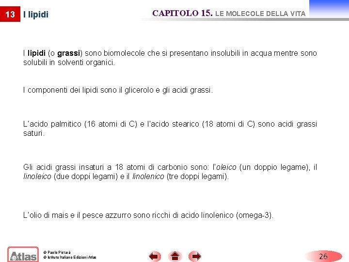 13 I lipidi CAPITOLO 15. LE MOLECOLE DELLA VITA I lipidi (o grassi) sono