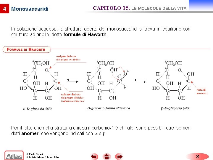 4 Monosaccaridi CAPITOLO 15. LE MOLECOLE DELLA VITA In soluzione acquosa, la struttura aperta