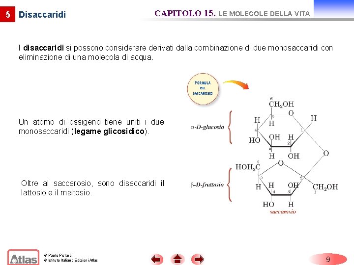 5 Disaccaridi CAPITOLO 15. LE MOLECOLE DELLA VITA I disaccaridi si possono considerare derivati